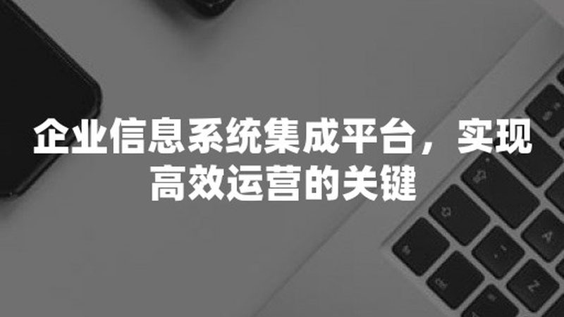 系统集成项目管理系统操作入门指南**